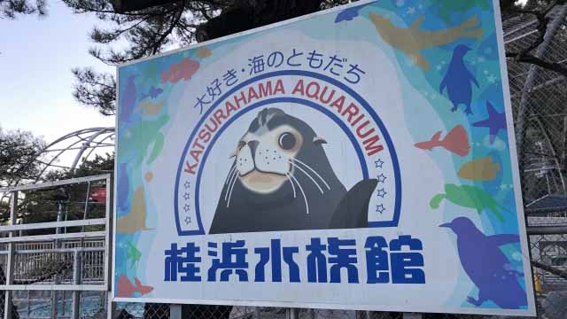 桂浜水族館